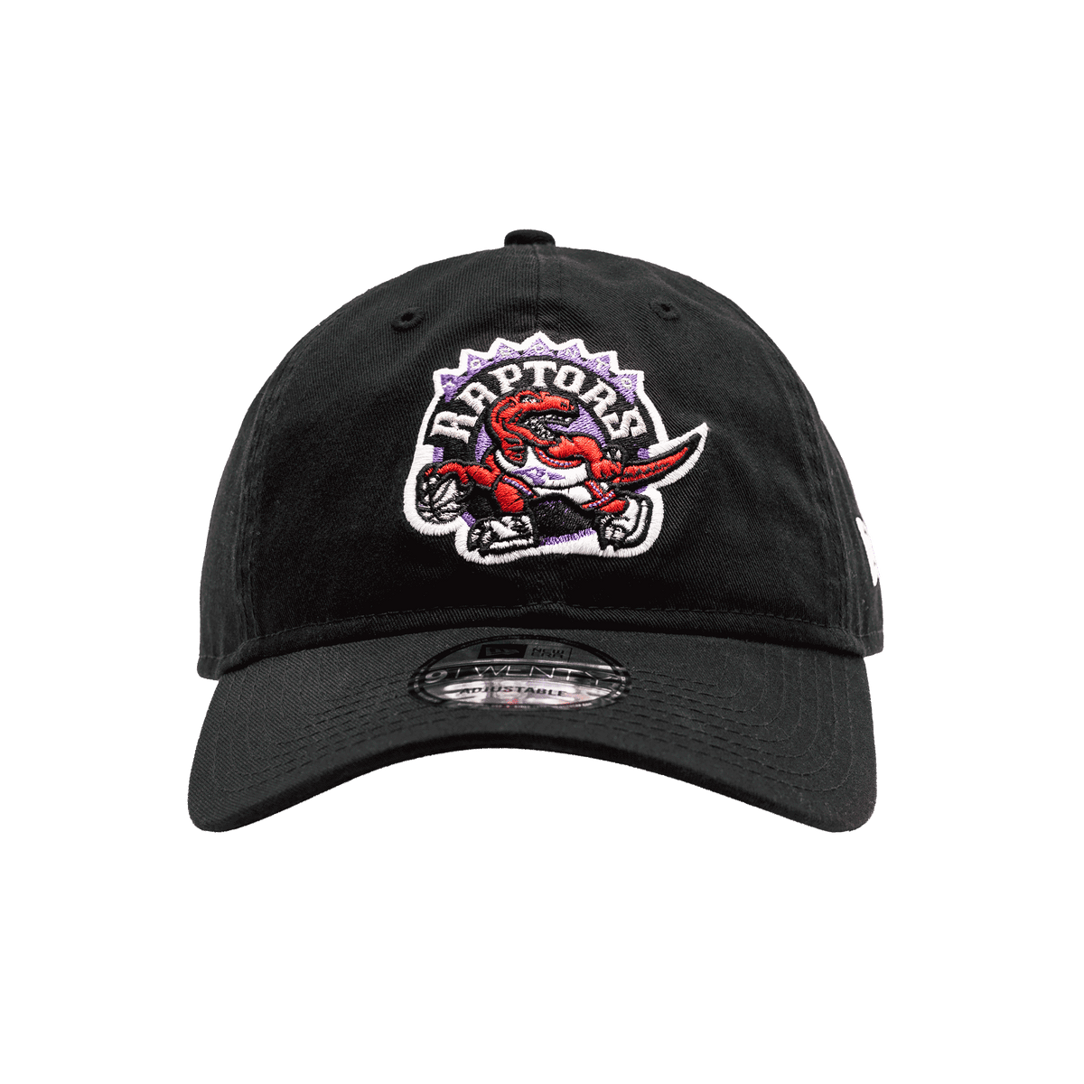 Raptors old cheap logo hat